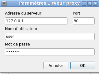 Figure 31. Paramètres du serveur proxy